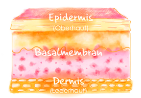 Ebs-layer-image