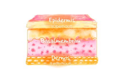 Ebs-layer-image