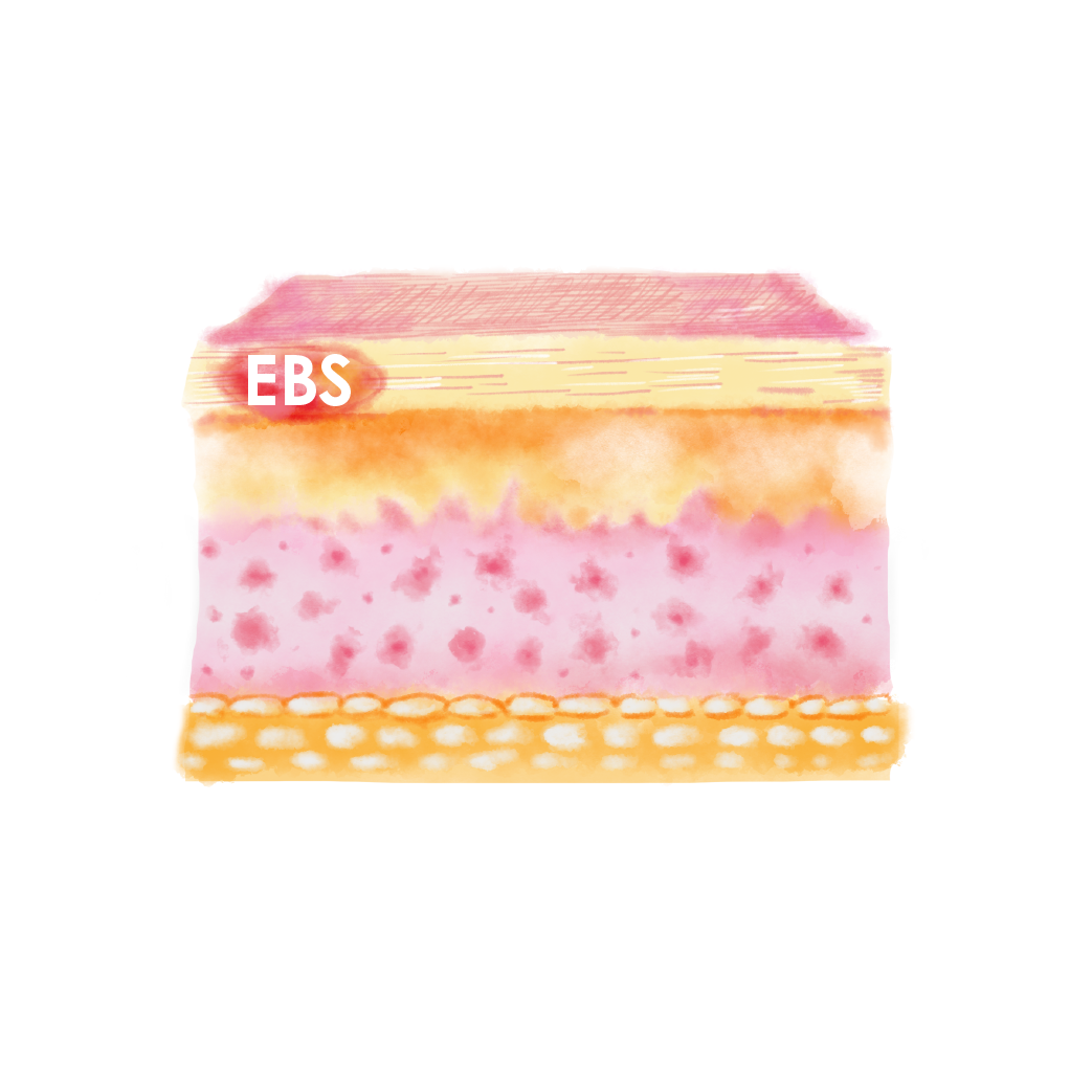 Ebs-layer-image