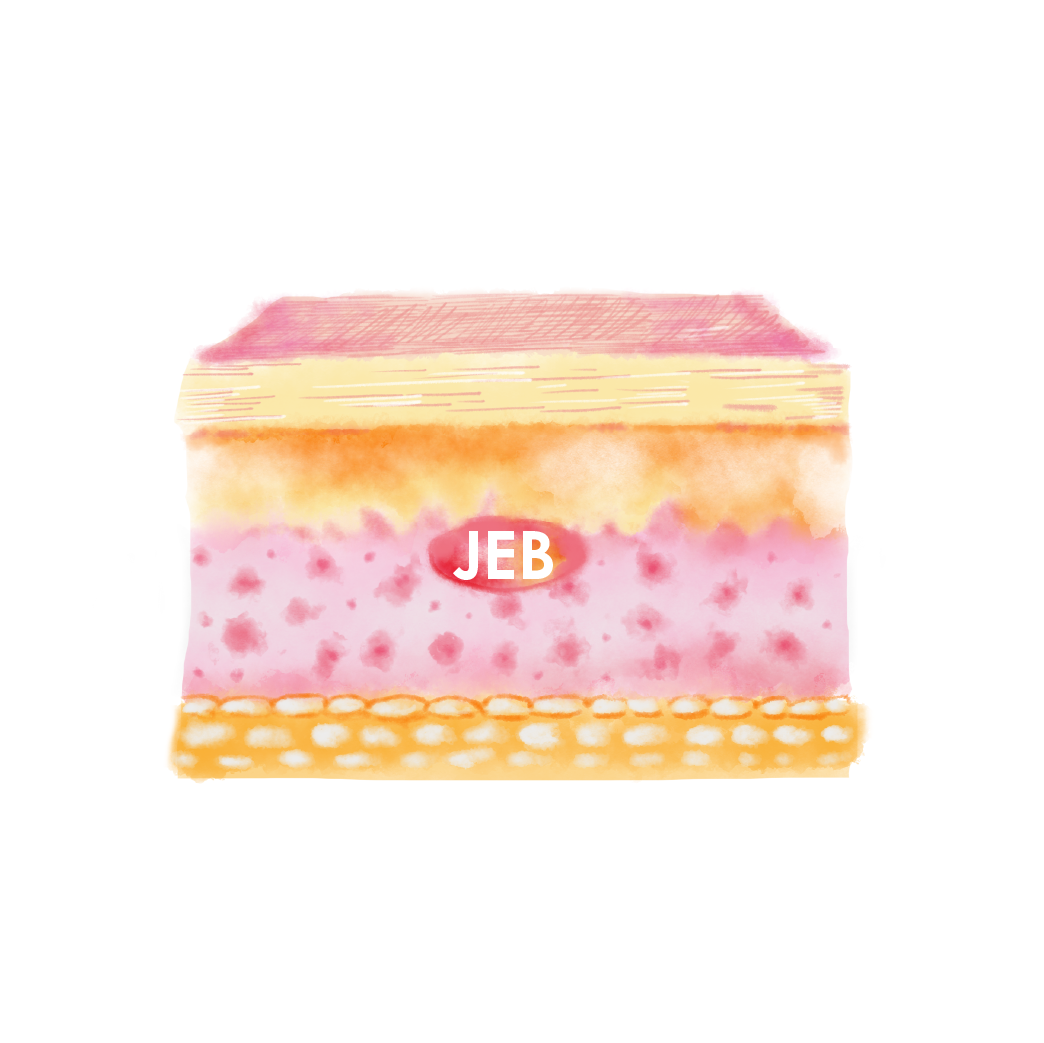 jeb-layer-image